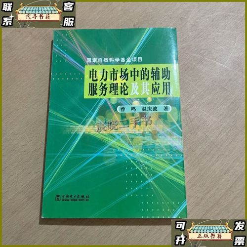 电力市场中的辅助服务理论及其应用